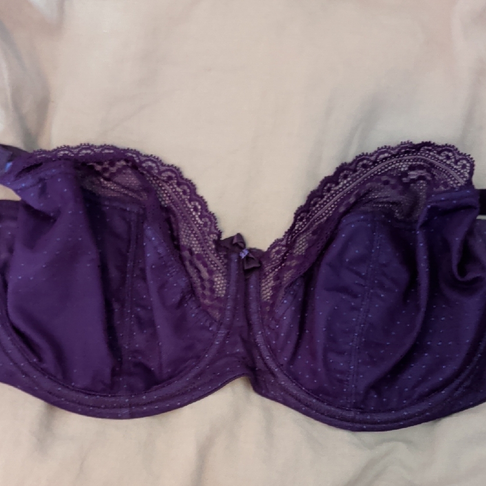 Cleo By Panache Hettie In Purple Size 38F
